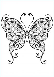 Coloriage Papillon Fleur Nouveau Images Papillon Jolis Motifs 10 Papillons &amp; Insectes
