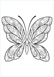 Coloriage Papillon Fleur Nouveau Photos Papillon Jolis Motifs 2 Papillons &amp; Insectes