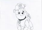 Coloriage Pat Patrouille Ruben Inspirant Galerie Coloriage Pat Patrouille Gratuit à Imprimer Liste 40 à 60