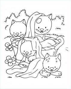 Dessin Chat à Imprimer Impressionnant Collection Coloriages De Chats Coloriages Enfants Biboon
