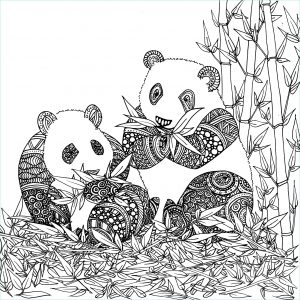 Dessin Coloriage Animaux Beau Photos Coloriage De Animaux Panda à Imprimer Par Chocobo