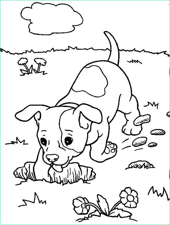Dessin Coloriage Animaux Luxe Collection Coloriage Colorier Coloriage Animaux De Pagnie Colorier