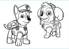 Dessin Coloriage Pat Patrouille Beau Image Coloriage Et Dessins Pat Patrouille Ou Paw Patrol