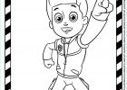 Dessin Coloriage Pat Patrouille Élégant Photos Coloriage Pat Patrouille à Imprimer Pour Les Enfants Cp