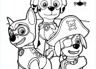 Dessin Coloriage Pat Patrouille Unique Photos Coloriage Pat Patrouille Chase Colorier Dessin