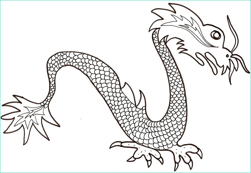 Dessin Dragon Chinois Facile Inspirant Collection Coloriage Dragon Chinois à écailles Tête à Modeler