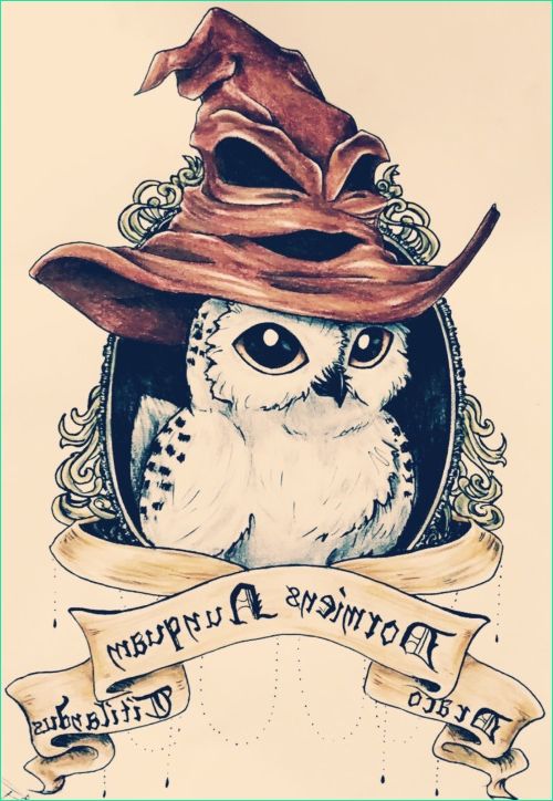 Dessin Hedwige Harry Potter Élégant Photos Harry Potter Fan Art On Tumblr