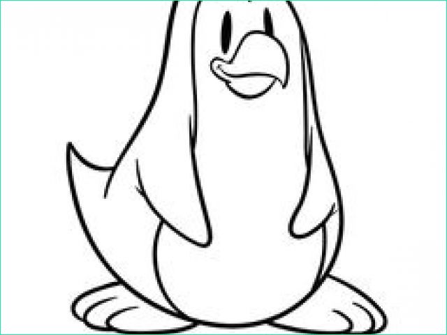 Dessin Pingouin Banquise Élégant Image Coloriage Banquise Pingouin 28 Best Animaux
