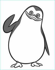 Dessin Pingouin Banquise Impressionnant Collection Coloriage Pingouin Banquise Et Dessin Gratuit à Imprimer