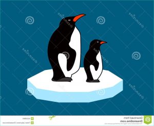 Dessin Pingouin Banquise Impressionnant Photos Pingouins Sur Une Banquise Illustration De Vecteur