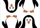 Dessin Pingouin Banquise Luxe Collection Petit Pingouin Sur La Banquise