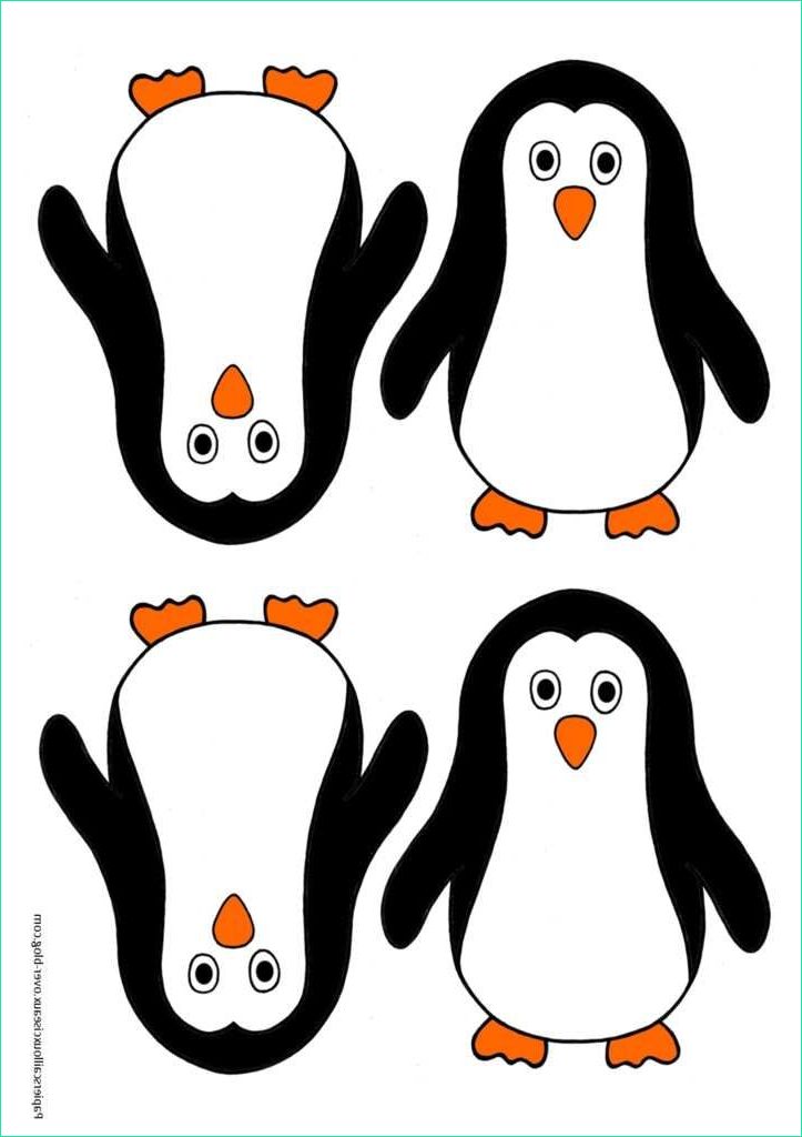 Dessin Pingouin Banquise Luxe Collection Petit Pingouin Sur La Banquise