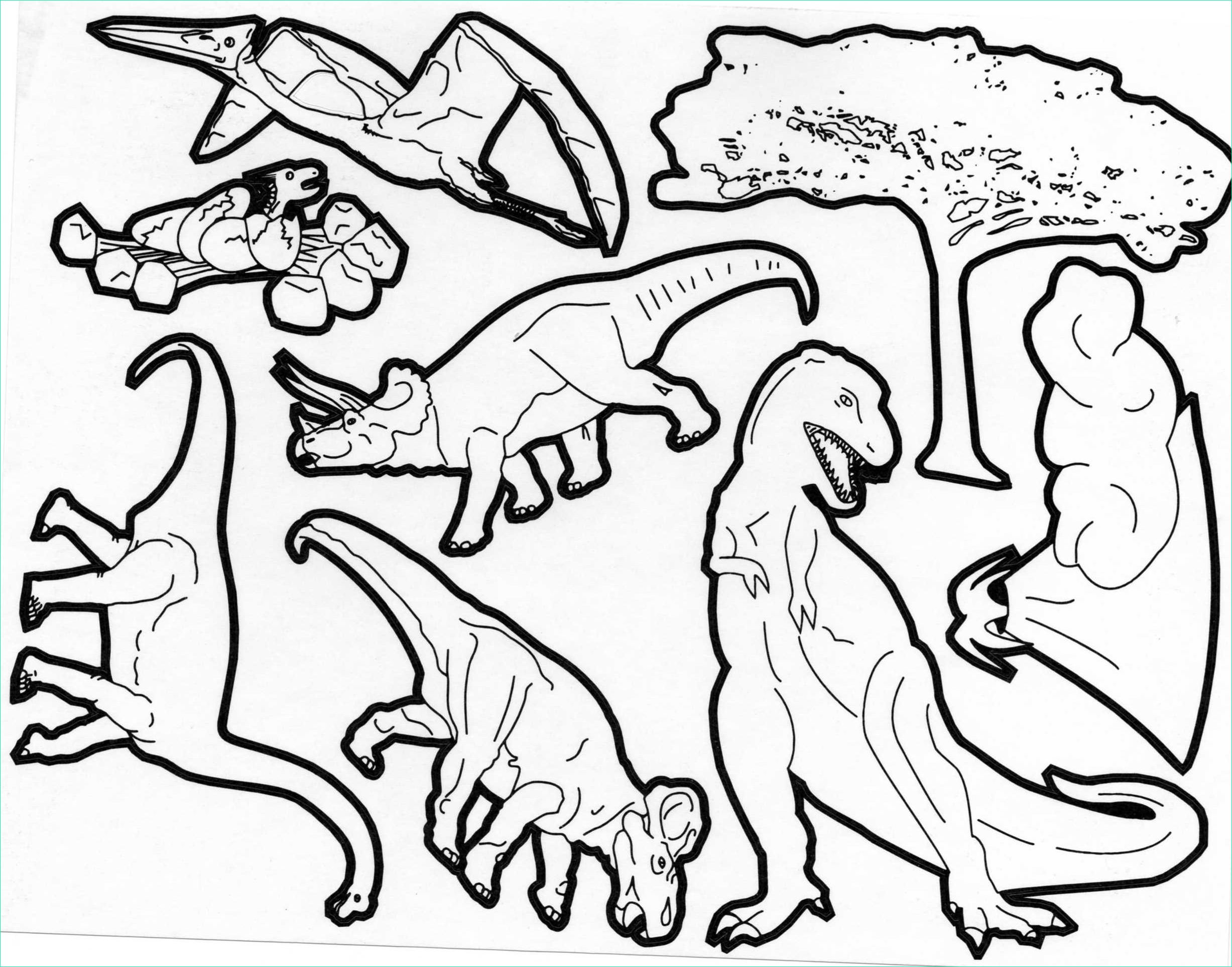 Dinosaure A Imprimer Impressionnant Stock Dinosaurs for Children Dinosaur Types Of Dinos