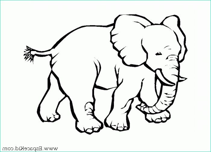 Elephant A Colorier Bestof Collection 10 Dessins De Coloriage Dessin éléphant à Imprimer