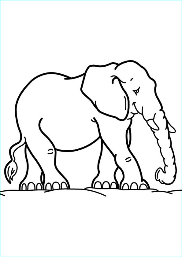Elephant A Colorier Impressionnant Stock Coloriage Éléphant Maternelle Dessin Gratuit à Imprimer