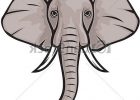 Elephant Dessin De Face Luxe Photographie Clip Art Vector Of Elephant Head Csp Search