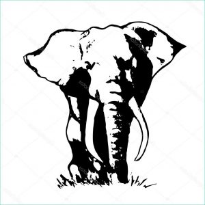 Elephant Dessin Simple Cool Images Elephant Simple Drawing at Getdrawings