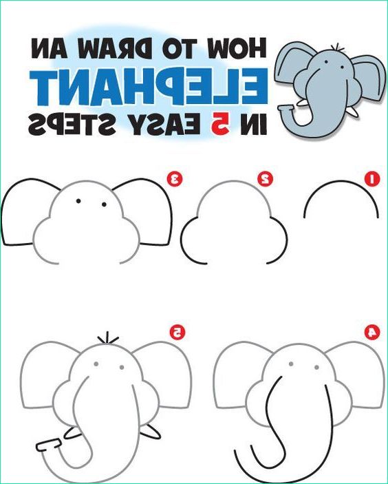 Elephant Dessin Simple Nouveau Photos Learn How to Draw Elephant In A Simple Way En 2020