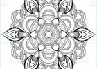 Mandala oriental Cool Collection Flower Black Mandala oriental Pattern Vector Illustration