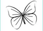 Papillon Dessin Simple Beau Photographie Simple butterfly Line Drawing Postcard