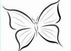 Papillon Dessin Simple Impressionnant Photos I Absolutely Adore butterfly S Art