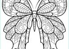 Papillon Dessin Simple Nouveau Image 1001 Idées De Dessin De Papillon Pour S Inspirer Et