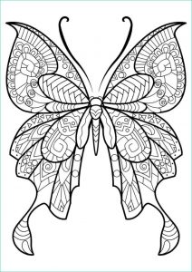 Papillon Dessin Simple Nouveau Image 1001 Idées De Dessin De Papillon Pour S Inspirer Et