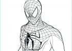 Spider Man Dessin Cool Photos Tendances Pour Dessin Spiderman Ps4 Facile Random Spirit