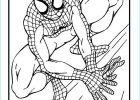Spider Man Dessin Impressionnant Photos Coloriage Spiderman 2