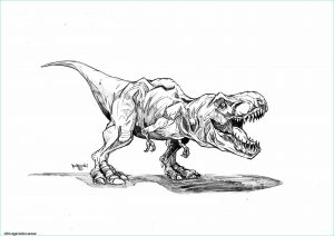 T-rex Dessin Beau Image Coloriage Jurassic Park Trex Dessin Dessin De Tyrannosaure
