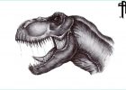T-rex Dessin Beau Photos Jurassic Park Tyrannosaurus Rex Drawing by Aram Papazyan