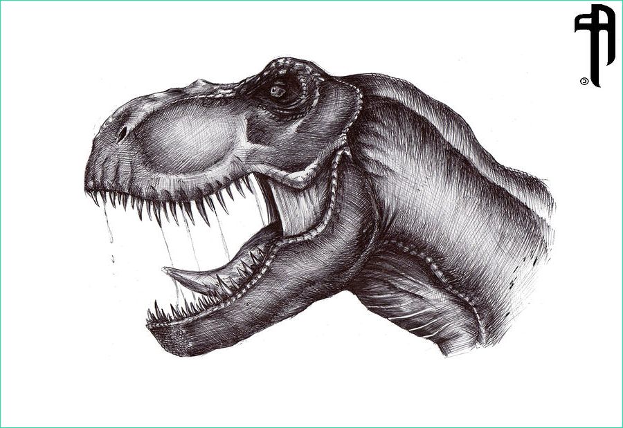 T-rex Dessin Beau Photos Jurassic Park Tyrannosaurus Rex Drawing by Aram Papazyan