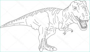 T-rex Dessin Bestof Image T Rex — Stock Vector © Pavelmidi