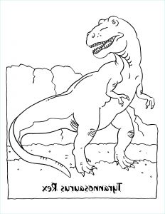 T-rex Dessin Élégant Stock Coloriage T Rex Dinosaure à Imprimer