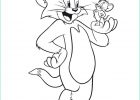 Tom Et Jerry Dessin Impressionnant Photos Dessin De tom Et Jerry Un Imprimer