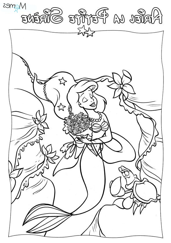 Ariel à Colorier Élégant Image Coloriage Ariel La Petite Sirène Momes