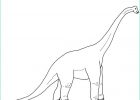 Brachiosaure Dessin Beau Photos Brachiosaurus Est Un Coloriage De Dinosaures à Imprimer