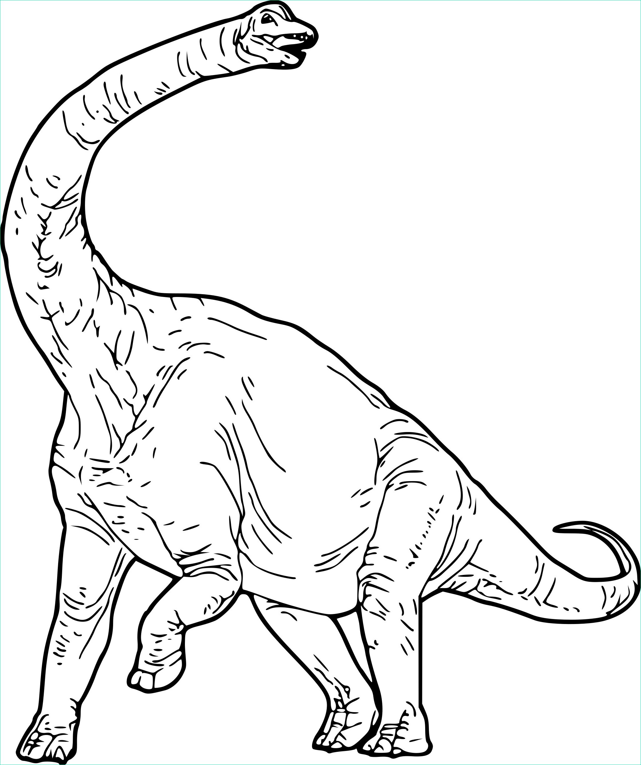 Brachiosaure Dessin Luxe Images Coloriage Brachiosaure Dinosaure à Imprimer Sur Coloriages