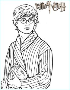 Coloriage à Imprimer Harry Potter Bestof Stock Coloriage Harry Potter à Imprimer Gratuitement