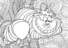 Coloriage Adulte Disney Impressionnant Photos Chat Cheshire Avec Motifs Chats Coloriages Difficiles