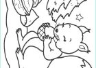 Coloriage Animaux De La foret Unique Photos Coloriage204 Coloriage Animaux De La foret