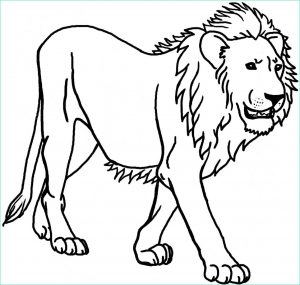 Coloriage Animaux Sauvage Cool Stock Coloriage Animaux Sauvages à Imprimer Sur Coloriages Fo