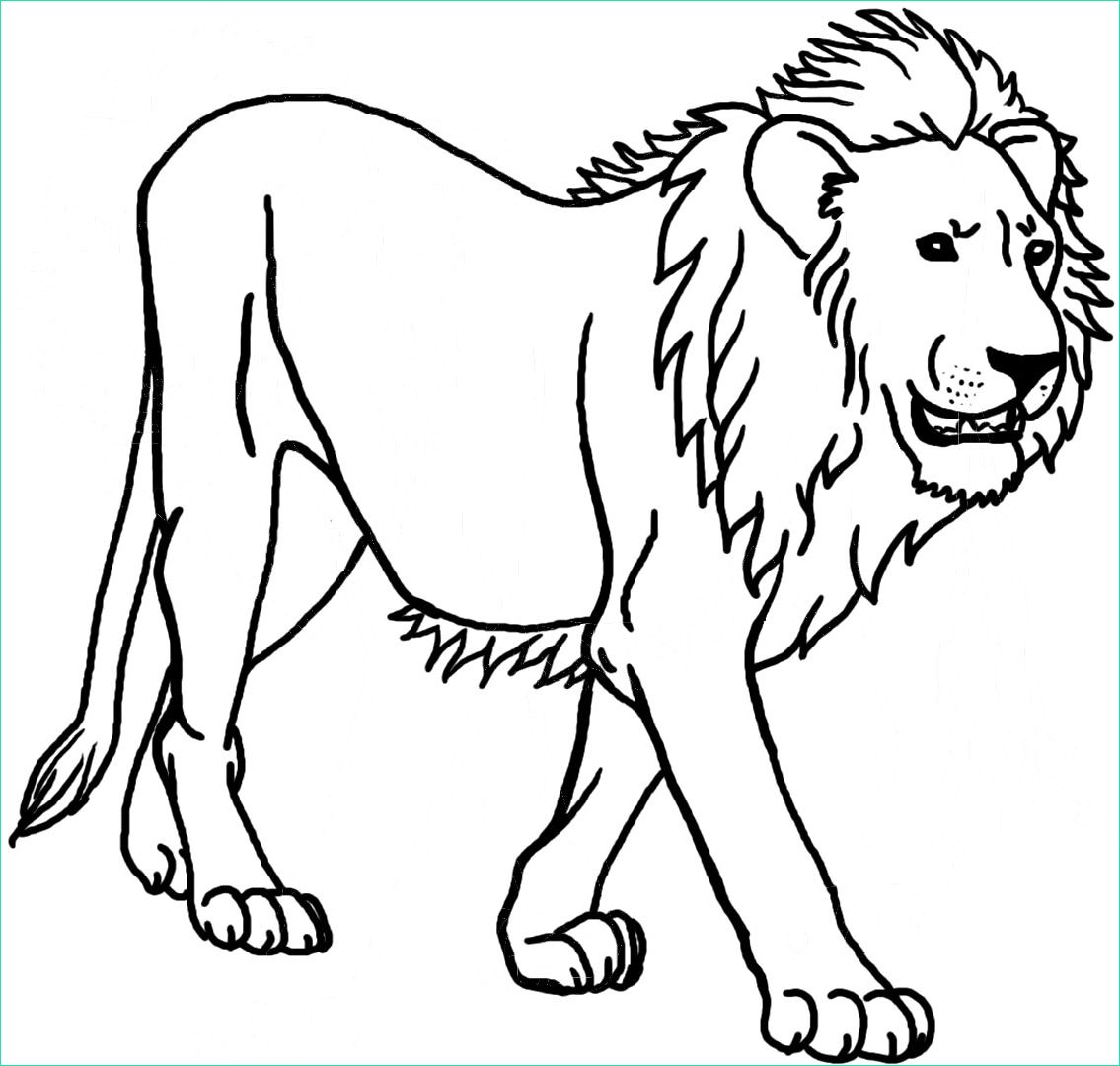 Coloriage Animaux Sauvage Cool Stock Coloriage Animaux Sauvages à Imprimer Sur Coloriages Fo