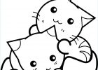 Coloriage Dessin Kawaii Beau Collection Coloriage Chaton Kawaii Mignon Dessin Chat à Imprimer