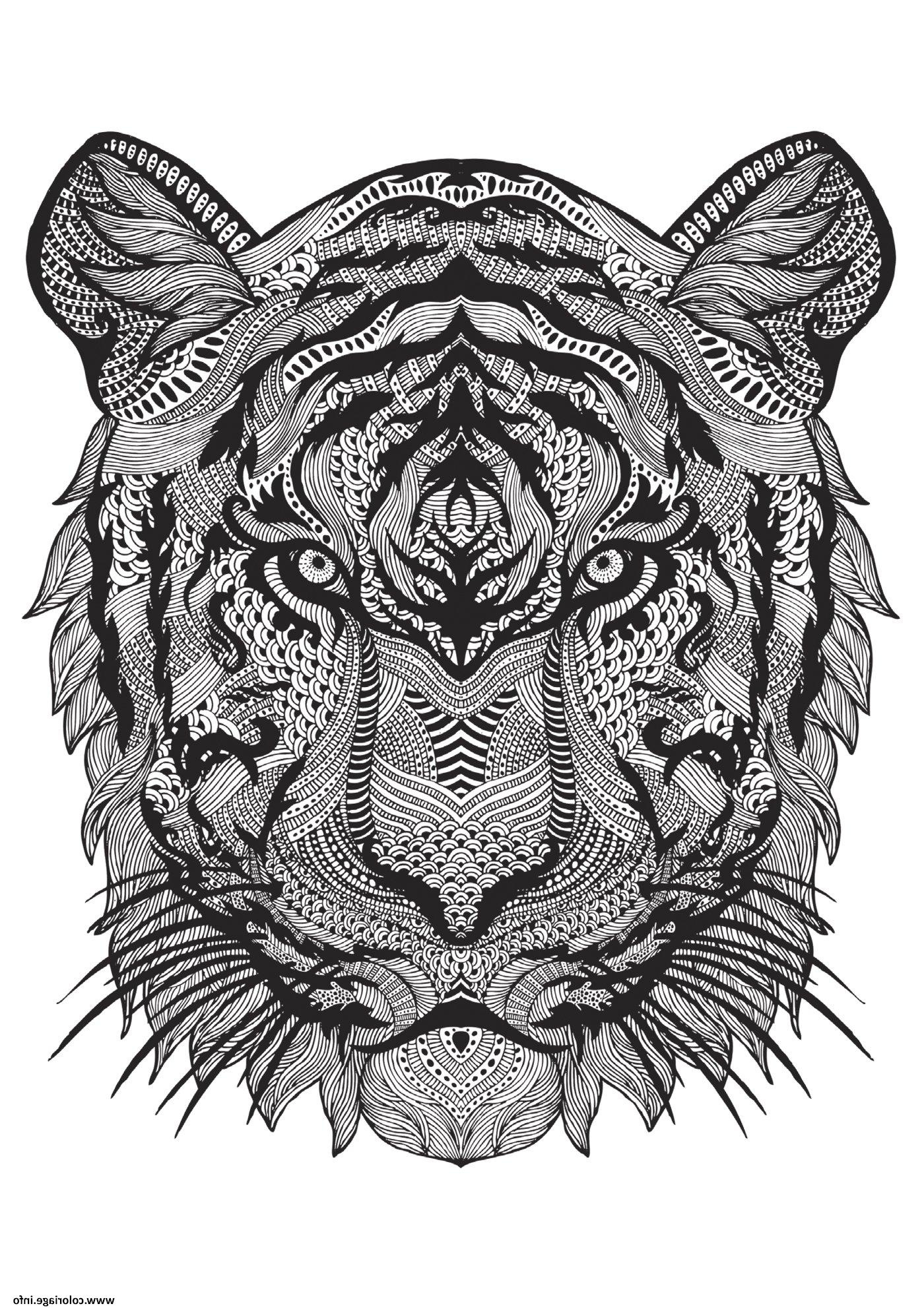 Coloriage Difficile D&amp;#039;animaux A Imprimer Unique Images Coloriage Adulte Animal Tigre Difficile Antistress Dessin