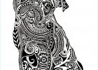 Coloriage Difficile Pour Adulte Bestof Image Difficile Petit Buldog