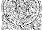 Coloriage Difficile Pour Adulte Élégant Photos Mandala Avec Fleurs Et Coccinelles Mandalas Coloriages