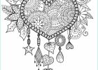 Coloriage Difficile Pour Adulte Luxe Photos 1001 Pages De Coloriage Anti Stress Pour Garder L Esprit