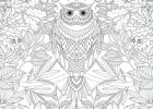 Coloriage Difficile Pour Adulte Unique Images Coloriages Difficiles Pour Adultes Coloriages Pour Enfants