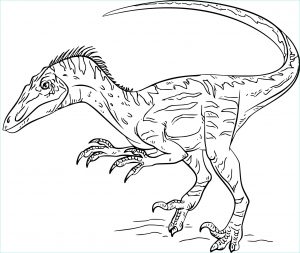Coloriage Dinosaure à Imprimer Beau Image Coloriage Dinosaure Velociraptor à Imprimer Sur Coloriages